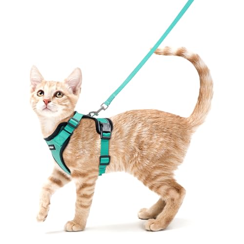 Cat Harness and Leash Set (Xs / Emerald)