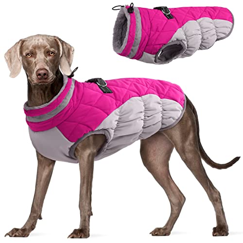 Dog Coat for Large Dogs (Rose Red / XXXL(chest:43in))