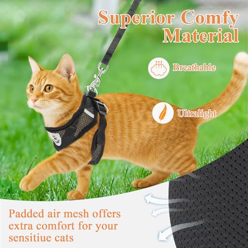 Cat Harness and Leash for Walking