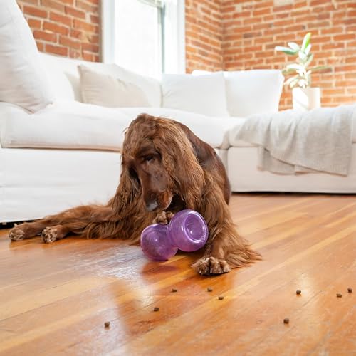 Double Snoop Interactive Treat Dispensing Dog Toy (Large)