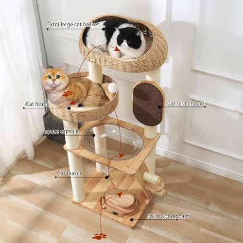 Modern Cat Tree (50 INCH)