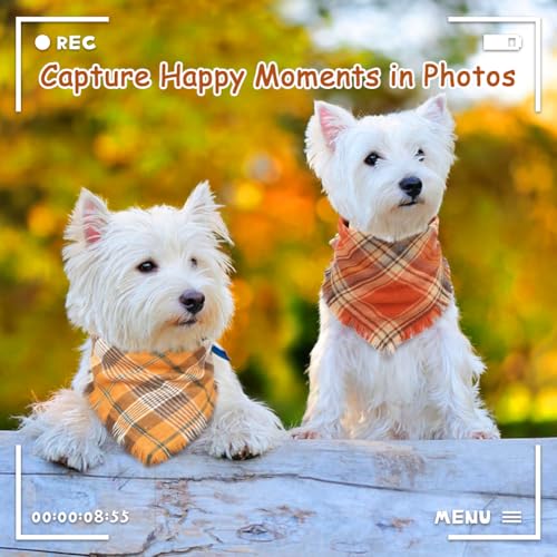 Fall Dog Bandana (Small / Fall)