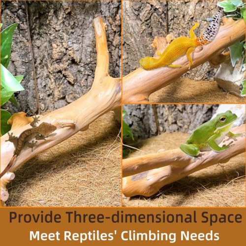 2PCS Snake Climbing Branch (Polished Reptile Climbing Wood)