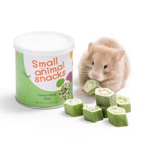 Hamster Snack Treat Toy