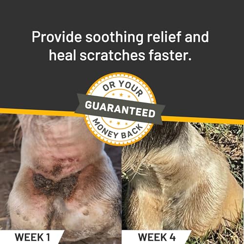 Rapid Skin Relief Equine Scratches Spray