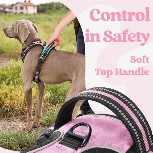 Dog Harness Small Sized (Small / Pink)