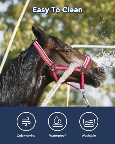Adjustable Horse Halter (PINK / Pony)