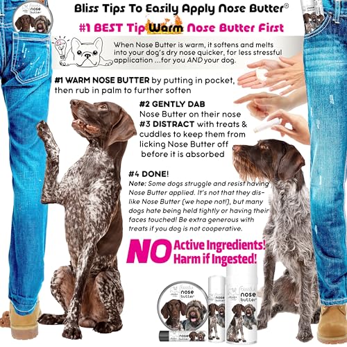 German Shorthaired Pointer Unscented Nose Butter (German Shorthaired Pointer / 4 Ounce)
