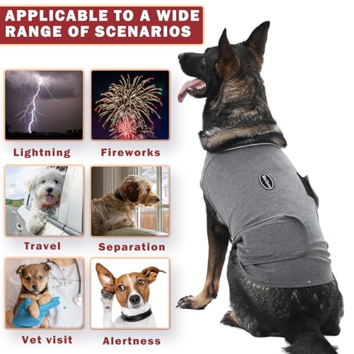 Dog Anxiety Vest (Medium / Blue)