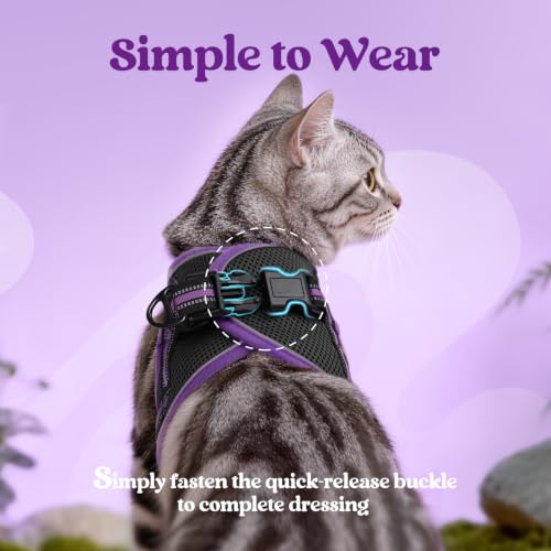 Cat Harness and Leash Set (L / Black & Purple)
