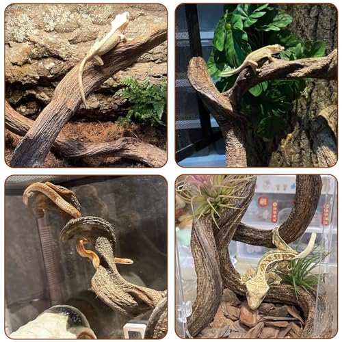4PCS Natural Reptile Climbing Branches Decor (4PCS|S:0.75-1.25"T,13"H)
