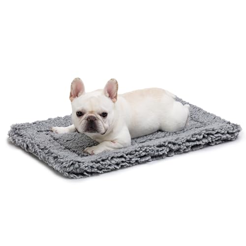 Stoutwool Indestructible Dog Bed (29.0"L x 18.0"W x 2"Th / Charcoal)