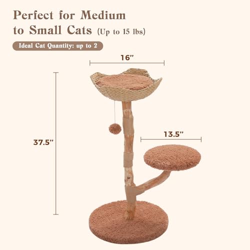 Modern Wood Cat Tree with Wicker Basket Bed & 2 Balls (Brown / 37.5" Solid Wood Cat Tree)