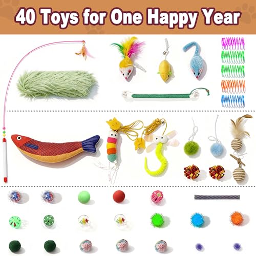 41 Pcs Interactive Cat Toys for Indoor Cats (Contemporary)