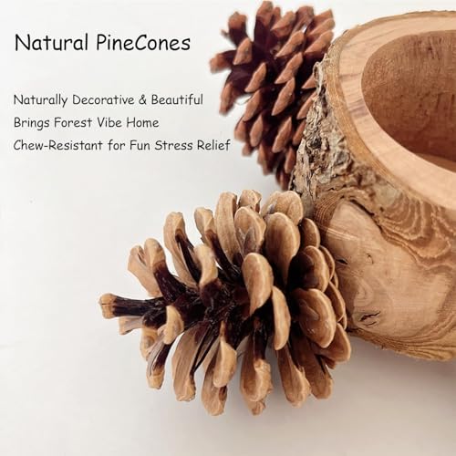 Bird Perch with Feeder for Cage & Chew Toys Pinecones (1 pack perch bowl)