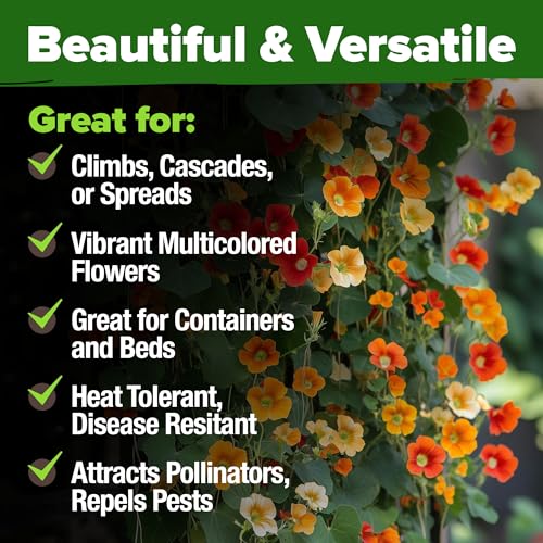 Nasturtium 250+ Seeds
