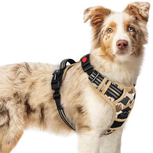 Dog Harness Medium Sized (Desert Ridge / Medium)