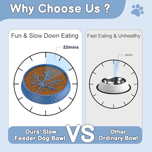 Pet Food Storage Container with Scoop & Slow Feeder Bowl