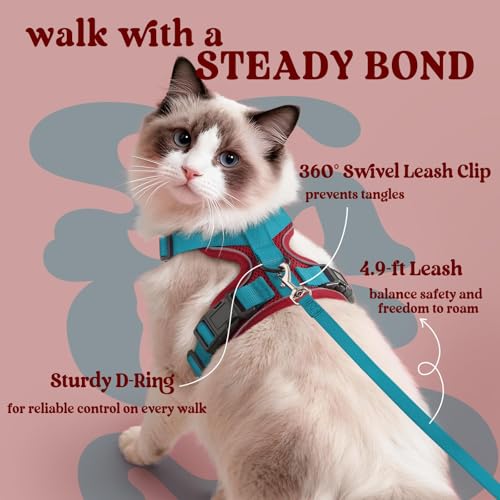 Cat Harness and Leash Set (S / Red & Teal)