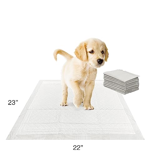 Wee Wee Super Absorbent Insta (10 Count)