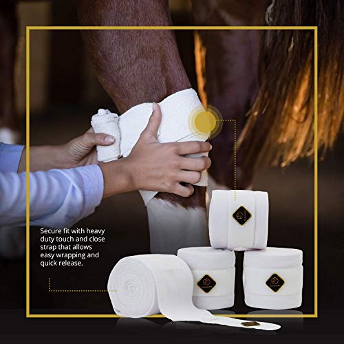Classic Bandage for Horses (4 Pack / White)