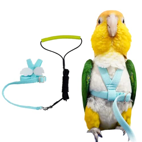 Pet Parrot Bird Harness Leash Adjustable Bird Flying Harness Traction Rope with Cute Wing for Parrots Pigeons Budgerigar Lovebird Cockatiel Mynah Outdoor Training Toy (L / Blue)