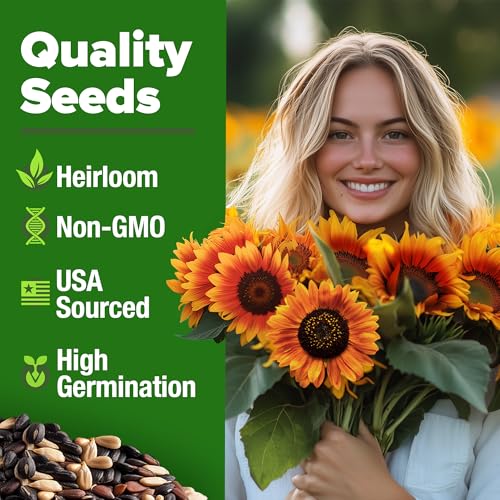 Autumn Beauty Sunflower Seeds