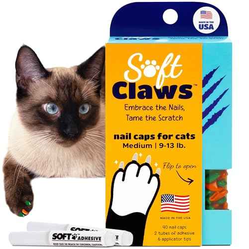 Nail Caps for Medium Cats (Medium / Green & Orange)