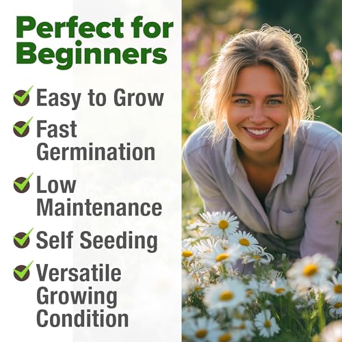 German Chamomile Seeds