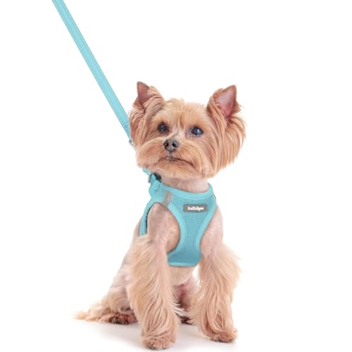 Dog Harness Small Sized and Leash Set (Mint Blue / Xxs (chest: 12.4 - 14.2"))