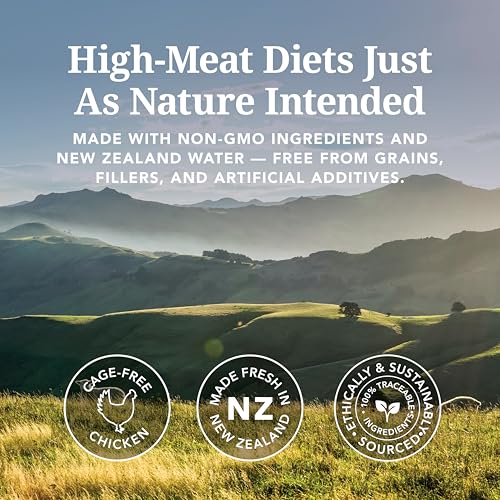 Canned Grain Free High (6 Ounce (Pack of 12))