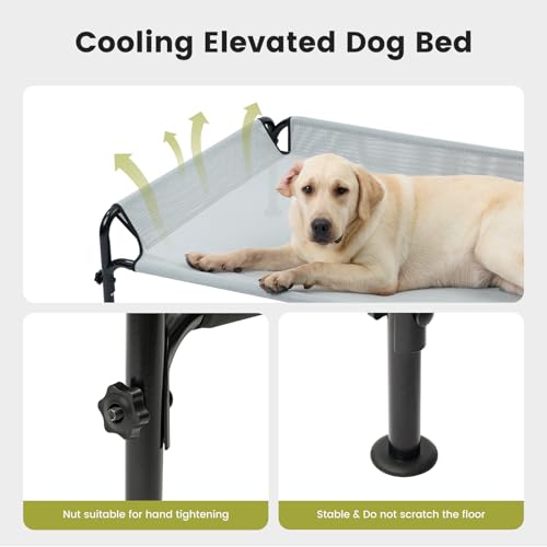 Elevated Dog Bed for Medium Size Dog (Grey / Medium)