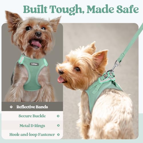 Dog Harness Medium Sized and Leash Set (Moss Green / M (chest: 16 - 18.5"))