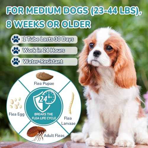 Flea and Tick Prevention for Medium Dogs (Medium Dogs (23 to 44 lbs))