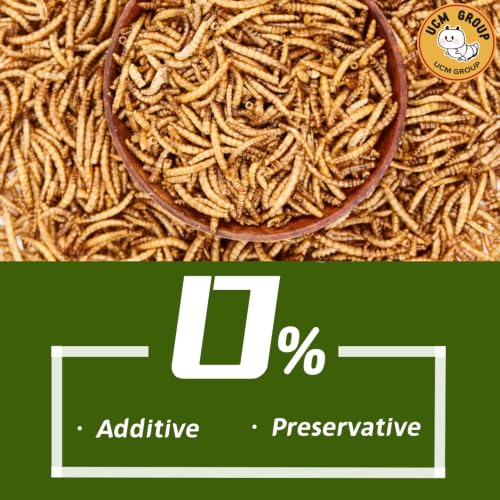 10LB Dried Mealworms for Wild Birds (10 Pound (Pack of 1))