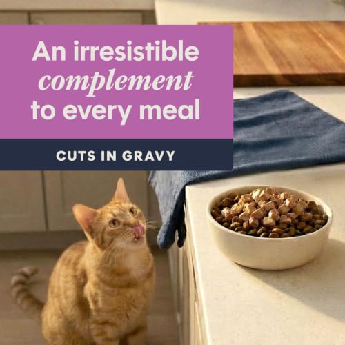 Healthy Cravings Wet Cat Toppers (3 Ounce (Pack of 24))
