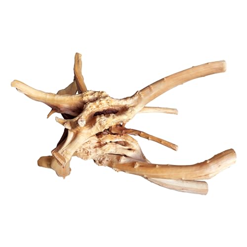 Natural Large Driftwood for Aquarium Decor Fish Tank Decor Reptile Decor (Spiderwood 13 to 17 Inch(Pack of 1))