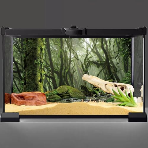 72x24 in Terrarium Backdrop Foggy Forest Stream Reptile Habitat Background (72x24in/180x60cm)