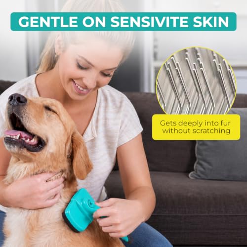 Dog Brush for Shedding (Aqua)