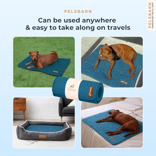 Dog Cooling Mat (Deep Blue / Large)