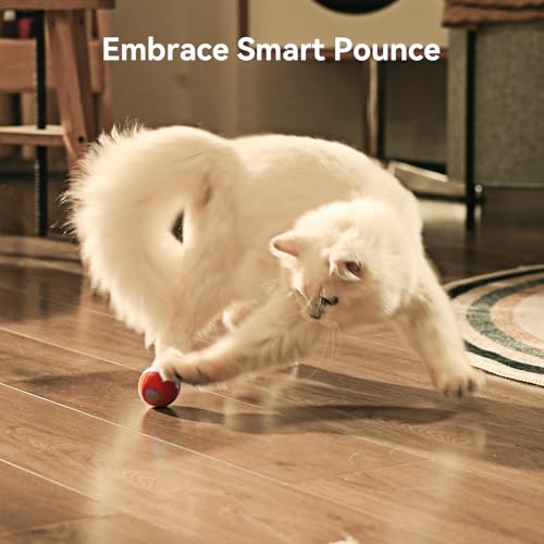 Interactive Cat Ball Toy (Red)