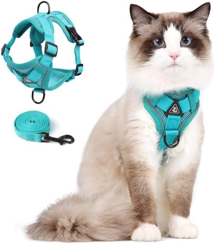 Cat Harness and Leash Set (Teal / M)
