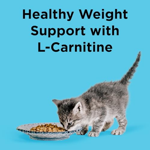 Liberty Dry Food Indoor Cat Health Chicken & Salmon Recipe