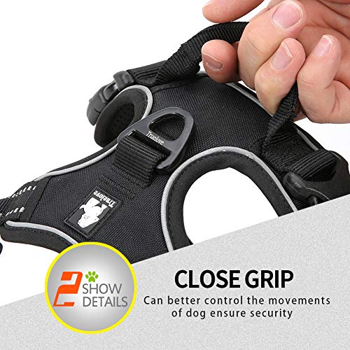 Truelove No Pull Dog Harness with Easy Control Handle and 2 Leash Attachments (Small / Black)