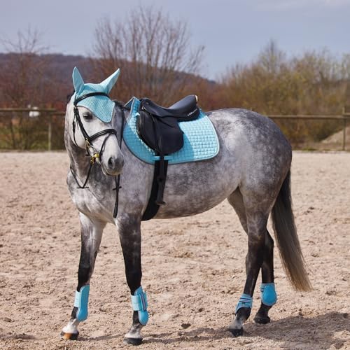 Adepto Padded All Purpose Quilted Equestrian Saddle Pad for Horses with Two (Canal Blue / Horse)