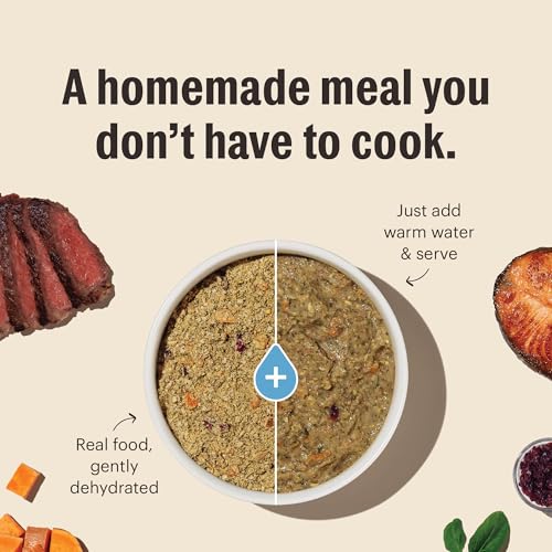 Wholemade Grain Free Chicken Recipe (4 Pound (Pack of 1))