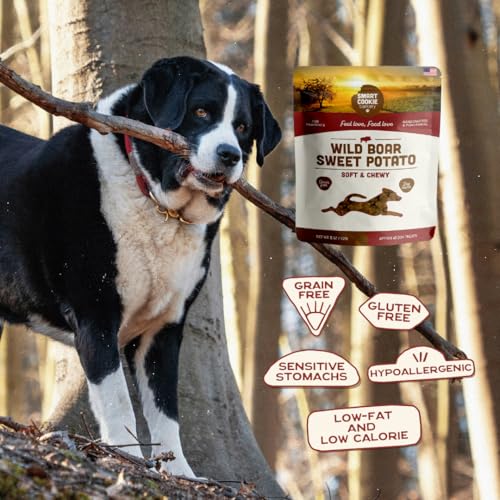 Healthy Soft Dog Treats (5 Ounce (Pack of 1))