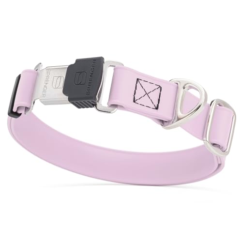Biothane Waterproof Dog Collar with Herm Sprenger Stainless Steel Quick Release Buckle (W 1" x L 15"-25" / Pastel Purple)