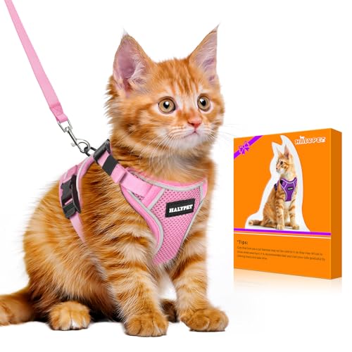 Cat Harness and Leash Set (H600 Pro Pink / X-Small (4-6lb))
