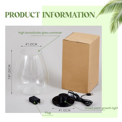 Glass Terrarium Kit with LED Grow Light for Desktop (6.9 x 7.8 Inch)